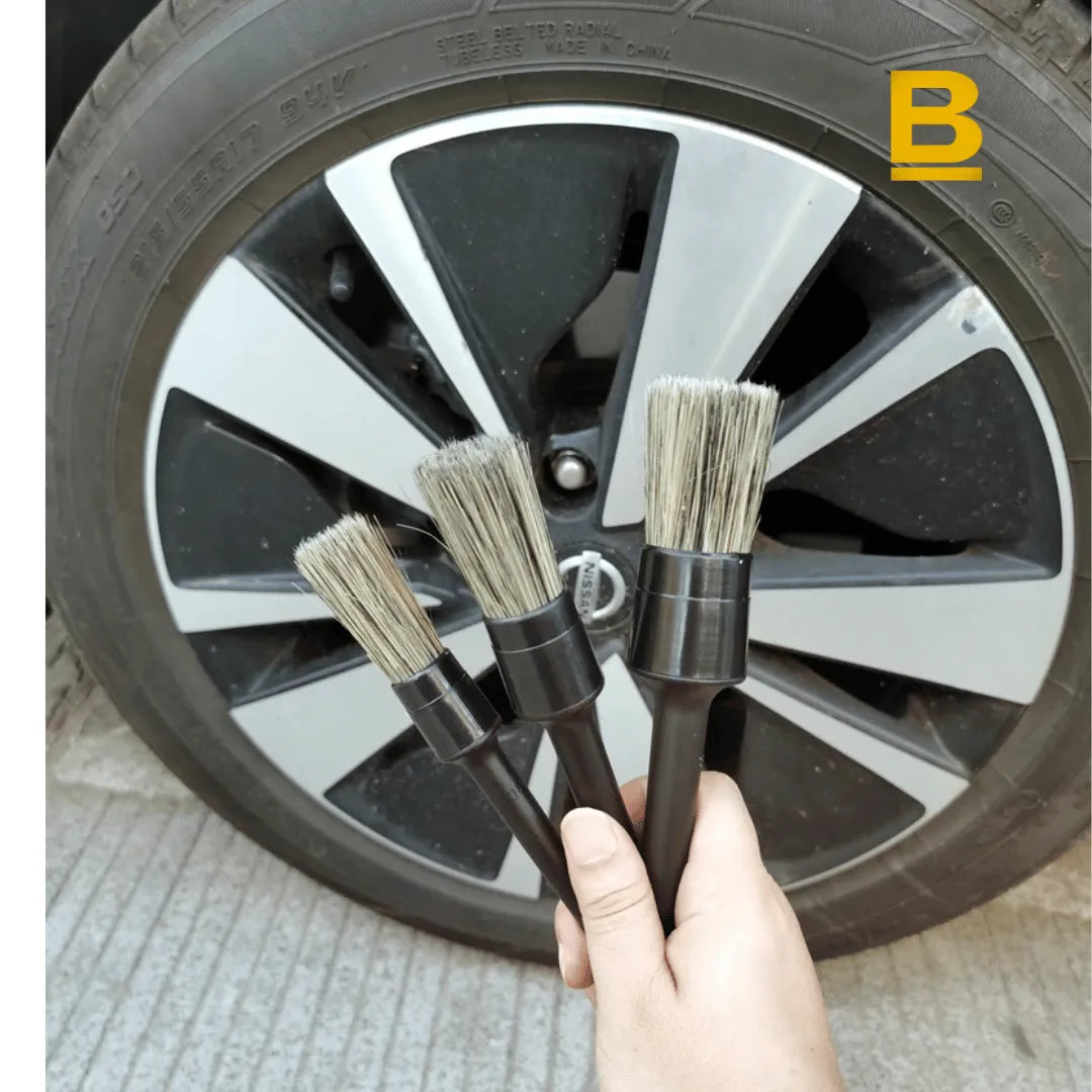 Kit Escovas Premium de Detalhamento Automotivo – Cerdas Naturais para Limpeza Profunda