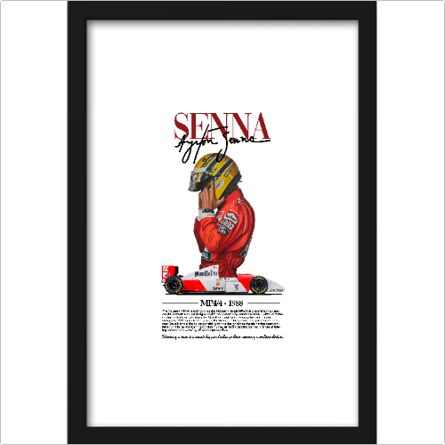QUADRO DECORATIVO SENNA